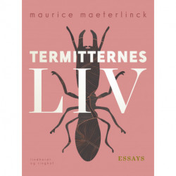 Termitternes liv