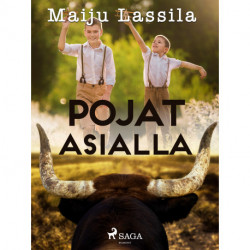 Pojat asialla