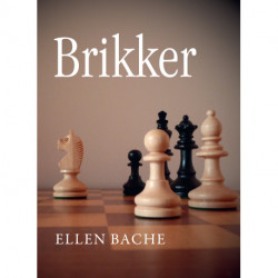 Brikker