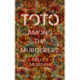 Toto Among the Murderers: an atmospheric and gritty novel of a young female hitchhiker in the 1970s North of England