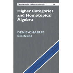 Higher Categories and Homotopical Algebra