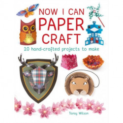 Now I Can Paper Craft: 20 Hand-Crafted Projects to Make
