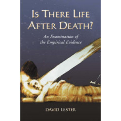 Is There Life After Death?: An Examination of the Empirical Evidence