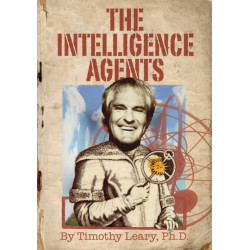The Intelligence Agents