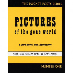 Pictures of the Gone World