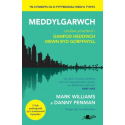 Darllen yn Well: Meddylgarwch - Canllaw Ymarferol i Ganfod Heddwch Mewn Byd Gorffwyll: Canllaw Ymarferol i Ganfod Heddwch Mewn Byd Gorffwyll