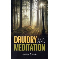 Druidry and Meditation