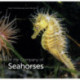 In the Company of Seahorses