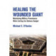 Healing the Wounded Giant: Maintaining Military Preeminence while Cutting the Defense Budget
