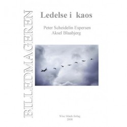 Billedemageren - Ledelse i kaos