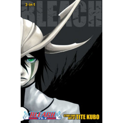 Bleach (3-in-1 Edition), Vol. 14: Includes vols. 40, 41 & 42