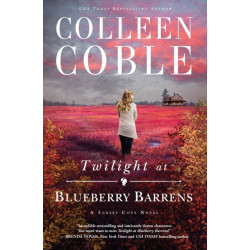 Twilight at Blueberry Barrens