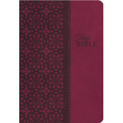 KJV Study Bible, Large Print, Leathersoft, Red/Pink, Red Letter: Second Edition