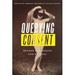 Querying Consent: Beyond Permission and Refusal