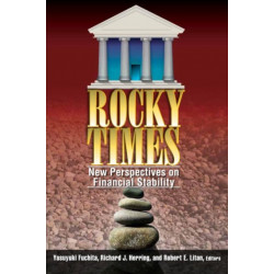 Rocky Times: New Perspectives on Financial Stability
