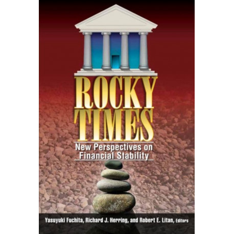 Rocky Times: New Perspectives on Financial Stability