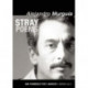 Stray Poems: San Francisco Poet Laureate Series No. 6
