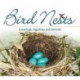 Bird Nests: Amazingly Ingenious and Intricate