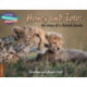 Cambridge Reading Adventures Honey and Toto: The Story of a Cheetah Family 1 Pathfinders