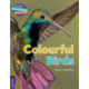 Cambridge Reading Adventures Colourful Birds Purple Band