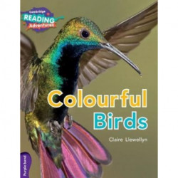 Cambridge Reading Adventures Colourful Birds Purple Band