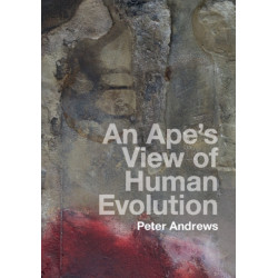 An Ape's View of Human Evolution