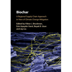 Biochar: A Regional Supply Chain Approach in View of Climate Change Mitigation