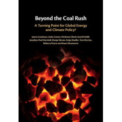 Beyond the Coal Rush: A Turning Point for Global Energy and Climate Policy?