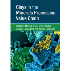Clays in the Minerals Processing Value Chain