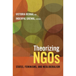 Theorizing NGOs: States, Feminisms, and Neoliberalism