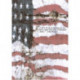 Vintage Flag