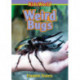 Weird Bugs
