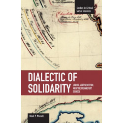 Dialectic Of Solidarity: Labor, Antisemitism, And The Frankfurt School: Studies in Critical Social Sciences, Volume 11