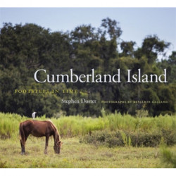 Cumberland Island: Footsteps in Time