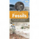 A Field Guide to Fossils