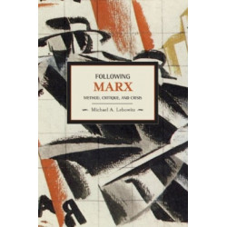 Following Marx: Method, Critique And Crisis: Historical Materialism, Volume 20