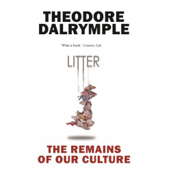 Litter: The Remains of Our Culture