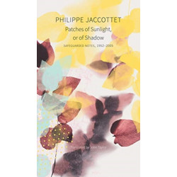 Patches of Sunlight, Or of Shadow: Safeguarded Notes, 1952–2005