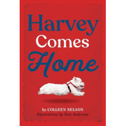 Harvey Comes Home