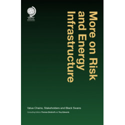 More on Risk and Energy Infrastructure: Value Chains, Stakeholders and Black Swans