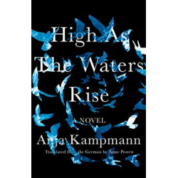 High As The Waters Rise: A Novel