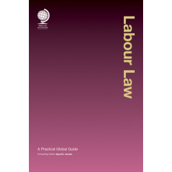 Labour Law: A Practical Global Guide