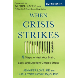 When Crisis Strikes: 5 Steps to Heal Your Brain, Body, and Life from Chronic Stress