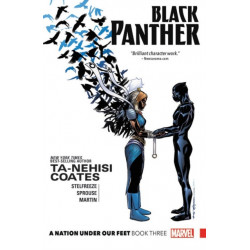 Black Panther: A Nation Under Our Feet Book 3