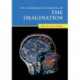 The Cambridge Handbook of the Imagination