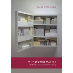 Why Stories Matter: The Political Grammar of Feminist Theory