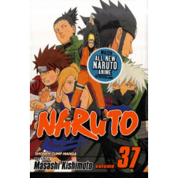 Naruto, Vol. 37: Shikamaru's Battle