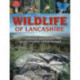 Wildlife of Lancashire: Exploring the Natural History of Lancashire, Manchester and North Merseyside