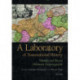 A Laboratory of Transnational History: Ukraine and Recent Ukrainian Historiography
