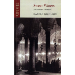 Sweet Waters: An Instanbul Thriller